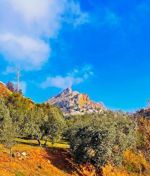 Apartamento Mi Rincon Favorito Cogollos De La Vega España